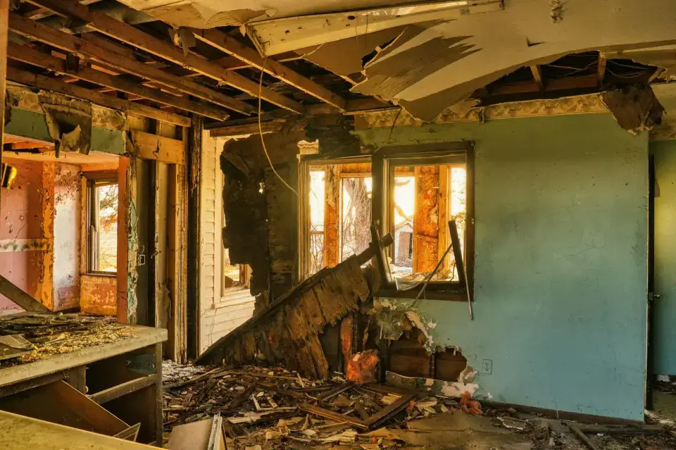 Modesto’s Trusted Mold Removal & Remediation Experts — Modesto, CA